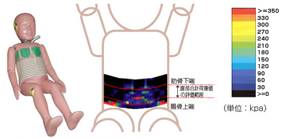 ダミー腹部への面圧計の装備イメージ図