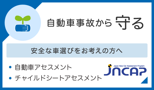 独立行政法人自動車事故対策機構 Nasva 交通事故