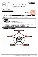 結果の表示・総合所見の例