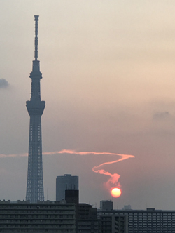 「ナスバ交通遺児友の会」写真コンテスト　最優秀賞作品の写真