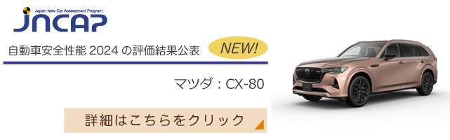 守る(JNCAP)/独立行政法人自動車事故対策機構 ナスバ(交通事故) 守る(JNCAP)/独立行政法人自動車事故対策機構 ナスバ(交通事故)