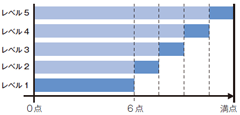 衝突試験（フルラップ前面、オフセット前面、側面）評価のレベル得点図